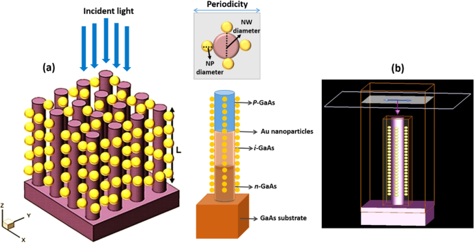 Plasmon-Enhanced Light Absorption in GaAs Nanowire Solar Cells: A Finite‑Difference Time‑Domain Study