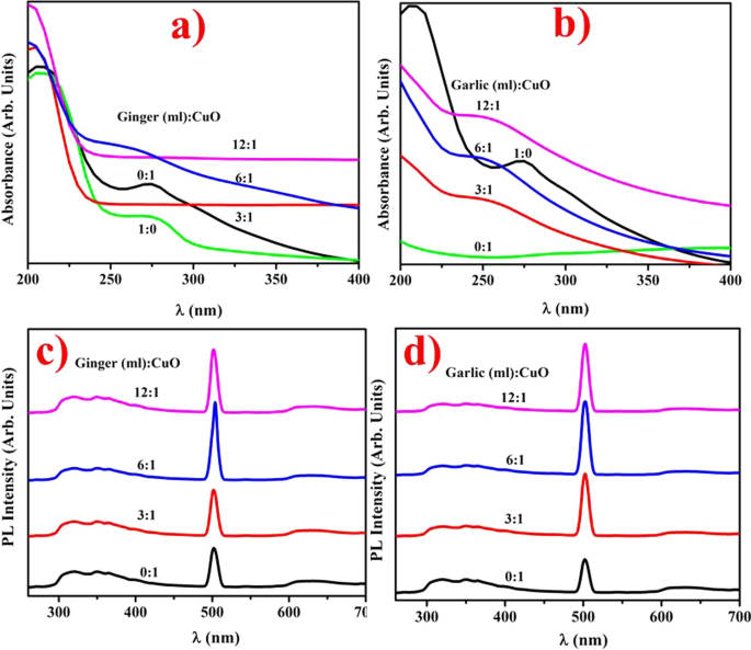 Eco‑Friendly Copper Oxide Nanoparticles Doped with Ginger and Garlic Extracts Exhibit Potent Antibacterial Activity Against Escherichia coli