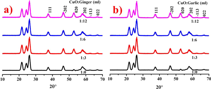 Eco‑Friendly Copper Oxide Nanoparticles Doped with Ginger and Garlic Extracts Exhibit Potent Antibacterial Activity Against Escherichia coli