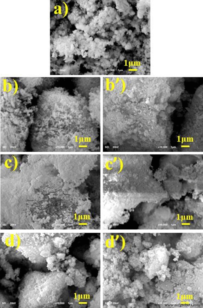 Eco‑Friendly Copper Oxide Nanoparticles Doped with Ginger and Garlic Extracts Exhibit Potent Antibacterial Activity Against Escherichia coli