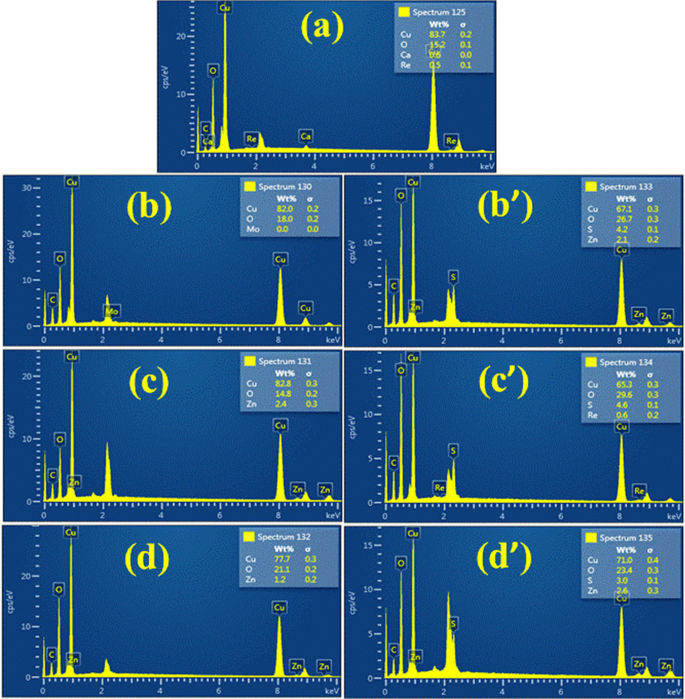Eco‑Friendly Copper Oxide Nanoparticles Doped with Ginger and Garlic Extracts Exhibit Potent Antibacterial Activity Against Escherichia coli