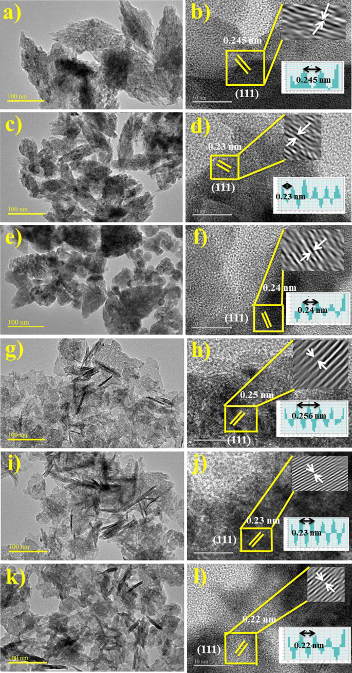 Eco‑Friendly Copper Oxide Nanoparticles Doped with Ginger and Garlic Extracts Exhibit Potent Antibacterial Activity Against Escherichia coli