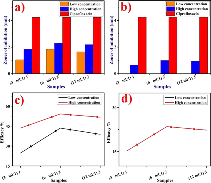Eco‑Friendly Copper Oxide Nanoparticles Doped with Ginger and Garlic Extracts Exhibit Potent Antibacterial Activity Against Escherichia coli