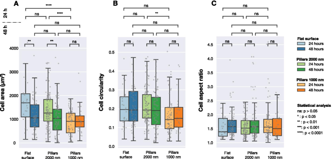 Nanopillar‑Induced Modulation of Actin Cytoskeleton and Focal Adhesions in U2OS Cells