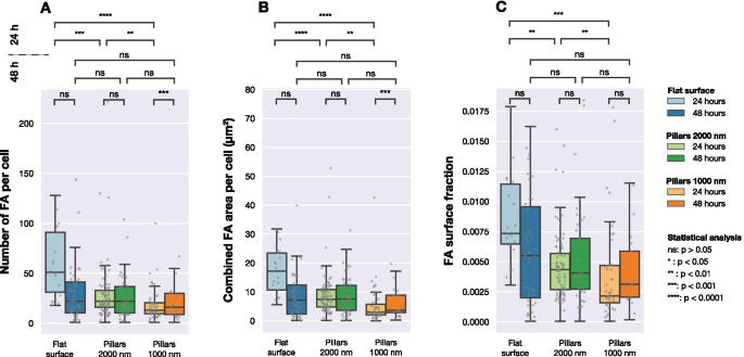 Nanopillar‑Induced Modulation of Actin Cytoskeleton and Focal Adhesions in U2OS Cells