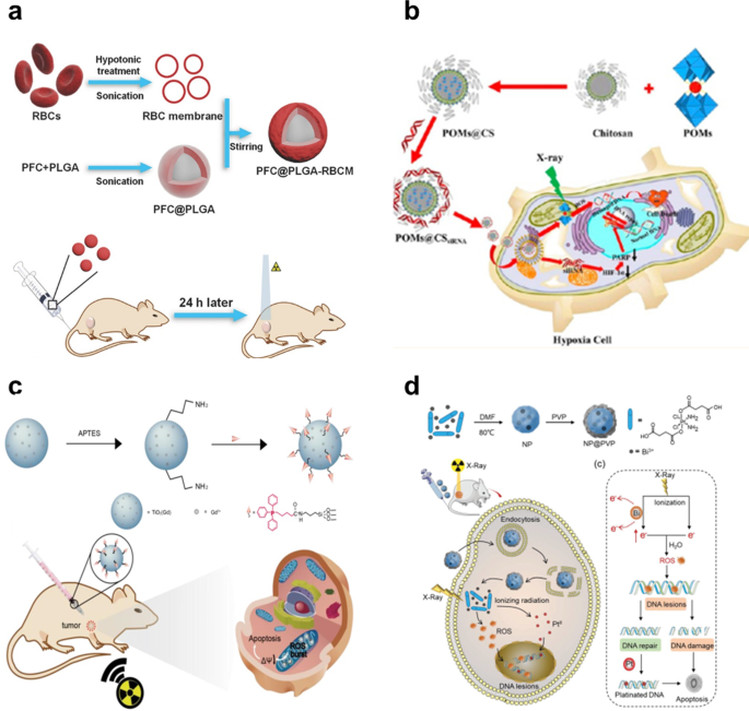 Harnessing Reactive Oxygen Species Toxicity for Advanced Tumor Therapy: Nanoparticle Strategies and Clinical Outlook