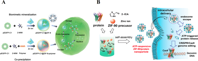 Environment‑Responsive Metal–Organic Frameworks: Precision Drug Delivery for Tumor Therapy