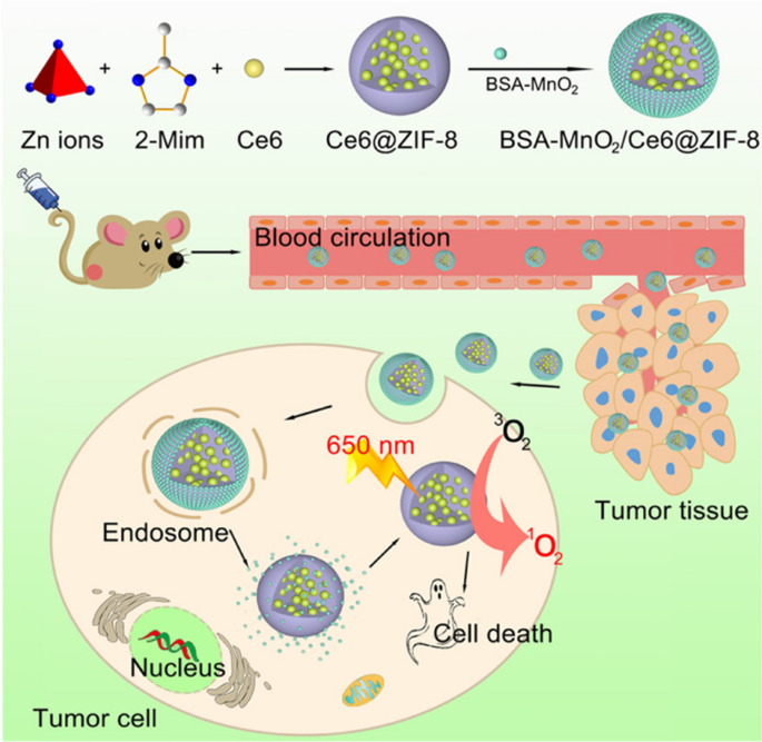Environment‑Responsive Metal–Organic Frameworks: Precision Drug Delivery for Tumor Therapy