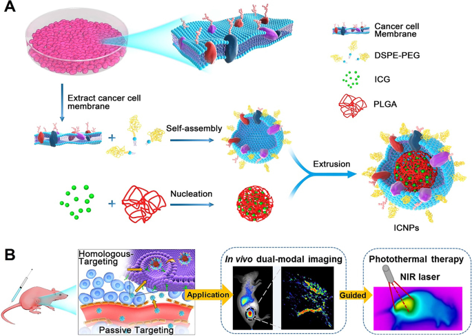 Cell‑Based Drug Delivery Systems for Advanced Cancer Therapy