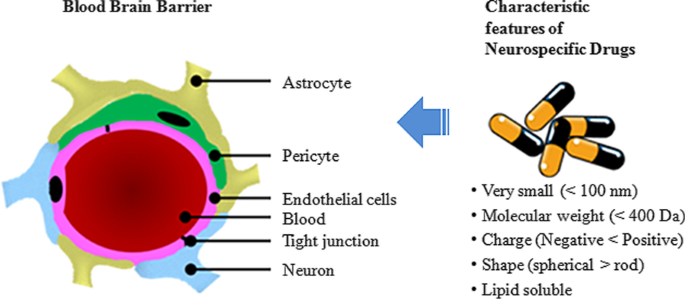 Zebrafish: A Real‑Time Model for Nanotechnology‑Enabled Brain Drug Delivery