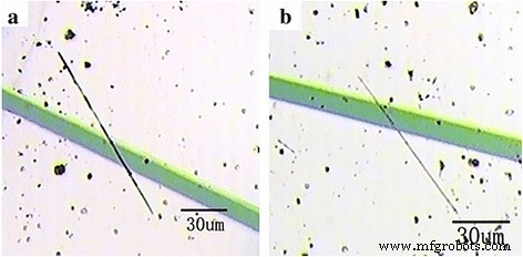 Enhanced Acetone Detection Using Eu-Doped Single SnO2 Nanobelts