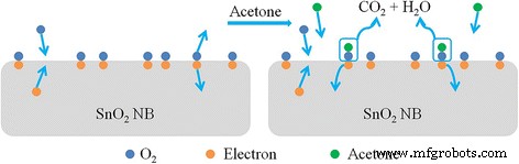 Enhanced Acetone Detection Using Eu-Doped Single SnO2 Nanobelts