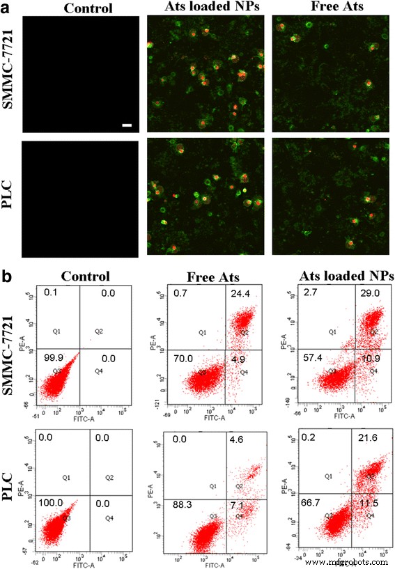 Nanoparticle-Delivered Artesunate Enhances Antitumor Efficacy via Mitochondrial Apoptosis Activation