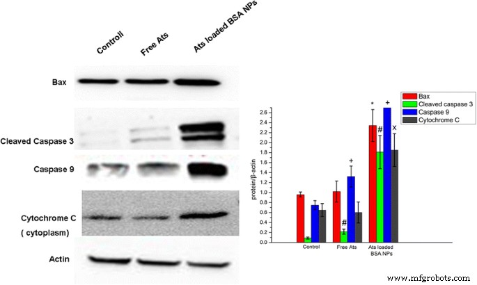 Nanoparticle-Delivered Artesunate Enhances Antitumor Efficacy via Mitochondrial Apoptosis Activation