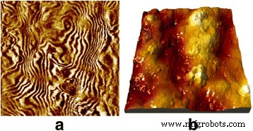 Percolation-Induced Ferromagnetism in Potassium Tantalate and Niobate Nanoparticles