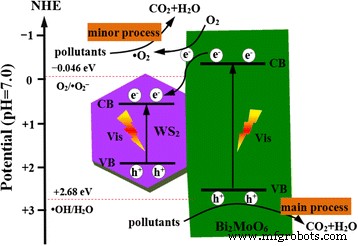Efficient Visible‑Light Photocatalysis via WS₂/Bi₂MoO₆ Heterostructures: A Simple Solvothermal Approach