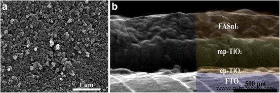 Optimized Anti‑Solvent Process Yields Fully Covered, Stable FASnI₃ and CsSnI₃ Perovskite Films for Lead‑Free Solar Cells
