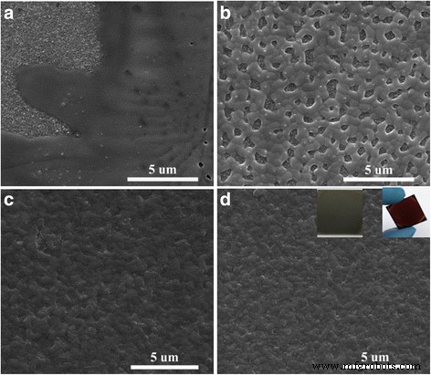 Optimized Anti‑Solvent Process Yields Fully Covered, Stable FASnI₃ and CsSnI₃ Perovskite Films for Lead‑Free Solar Cells