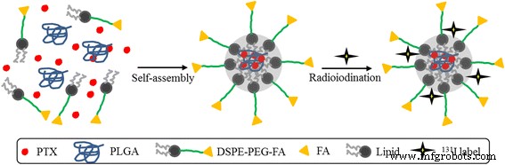 131I‑Labeled PLGA‑Lipid Nanoparticles for Targeted Paclitaxel Delivery and Imaging in Melanoma Therapy