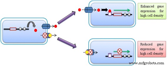 Metallic Nanoparticles: Potent Efflux Pump and Biofilm Inhibitors to Restore Antibiotic Efficacy