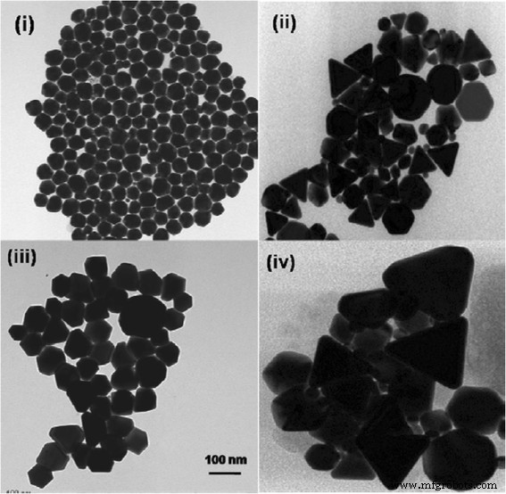 Electrospun Polymer Nanofibers Enhanced with Noble Metal Nanoparticles for Advanced Chemical Sensing