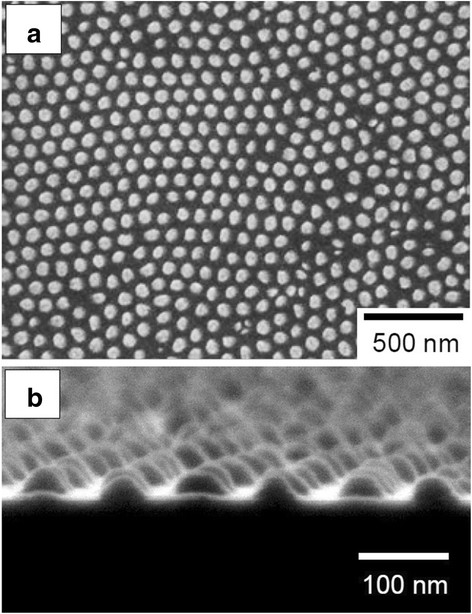 Fabrication of Ordered Au‑Capped GaAs Nanopillar Arrays via Metal‑Assisted Chemical Etching