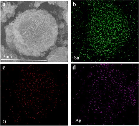 Green One‑Pot Synthesis of Ag‑Decorated SnO₂ Microspheres: A Highly Reusable Catalyst for 4‑Nitrophenol Reduction