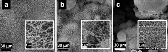 Fabricating Electrically Conductive Silica Nanofiber–Gold Nanoparticle Composites via Laser Pulses and Sputtering