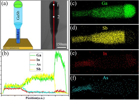 Self‑Catalyzed Growth of Vertical GaSb Nanowires on InAs Stems via Metal‑Organic CVD