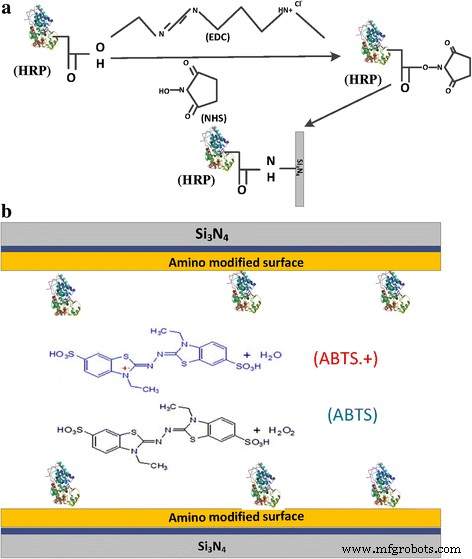 Enhanced Hydrogen Peroxide Detection via Surface-Modified Solid-State Nanopores