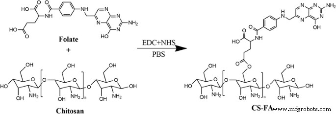 Solvent‑Free, Folate‑Functionalized Nanoneedles for Targeted Delivery of 10‑Hydroxycamptothecine