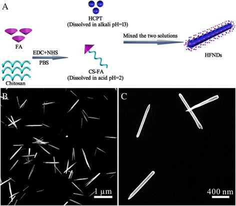 Solvent‑Free, Folate‑Functionalized Nanoneedles for Targeted Delivery of 10‑Hydroxycamptothecine
