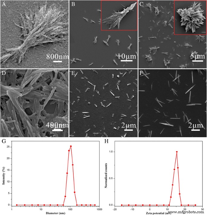 Solvent‑Free, Folate‑Functionalized Nanoneedles for Targeted Delivery of 10‑Hydroxycamptothecine