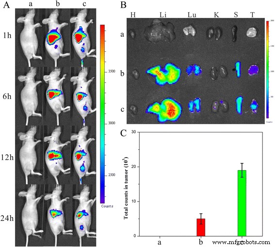 Solvent‑Free, Folate‑Functionalized Nanoneedles for Targeted Delivery of 10‑Hydroxycamptothecine
