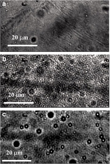 How PMMA Confinement Enhances Photoluminescence in P3HT Aggregates: Band‑Gap Redshift and Exciton Bandwidth Reduction