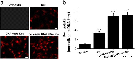 DNA Tetrahedron Nanocarriers Boost Doxorubicin-Mediated Apoptosis in HT-29 Colon Cancer Cells