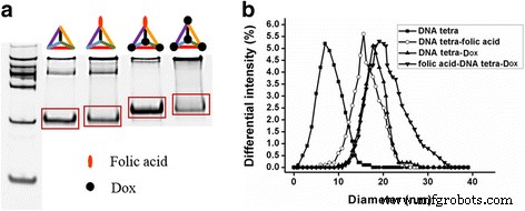 DNA Tetrahedron Nanocarriers Boost Doxorubicin-Mediated Apoptosis in HT-29 Colon Cancer Cells
