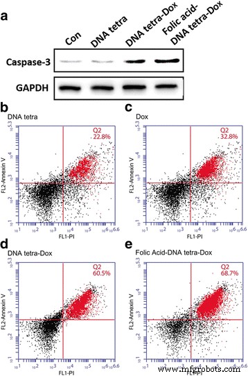 DNA Tetrahedron Nanocarriers Boost Doxorubicin-Mediated Apoptosis in HT-29 Colon Cancer Cells