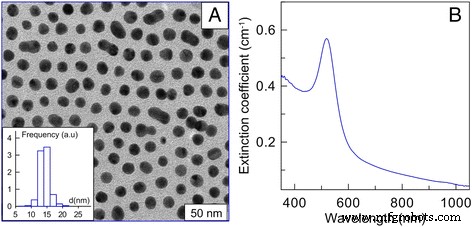 Effects of 15‑nm Gold Nanoparticles on Proliferation, Apoptosis, and Spheroid Formation in HT29 Colon Carcinoma and SPEV Embryonic Kidney Cells