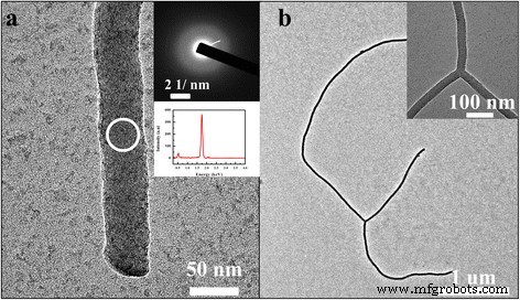 Cu-Catalyzed Growth of Amorphous Silicon Nanowires on SiO₂ by Annealing: A Simple, Contamination‑Free Method