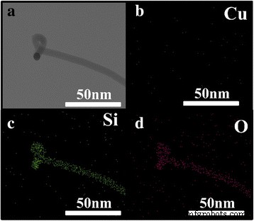 Cu-Catalyzed Growth of Amorphous Silicon Nanowires on SiO₂ by Annealing: A Simple, Contamination‑Free Method