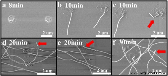 Cu-Catalyzed Growth of Amorphous Silicon Nanowires on SiO₂ by Annealing: A Simple, Contamination‑Free Method