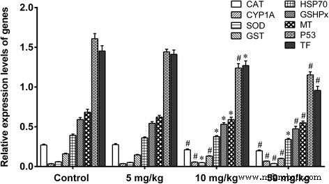 Dose‑Dependent Liver, Brain, and Embryonic Toxicity of Titanium Dioxide Nanoparticles in Mice