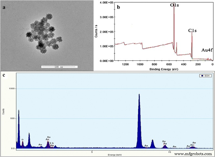 PEG‑Coated Gold Nanostars: A Safe, High‑Contrast Agent for CT Imaging with Rapid Renal Clearance