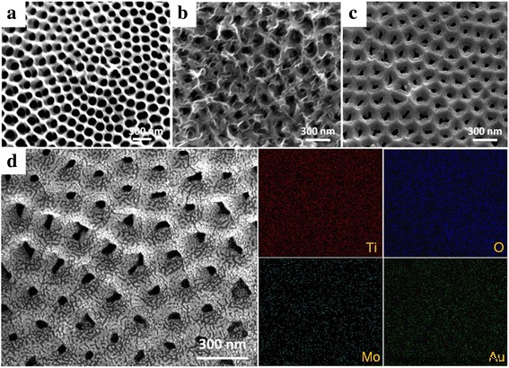 Enhanced Photocatalytic Water Splitting with Au‑Plasmonic Nanoparticles on TiO₂/MoO₃ Nanotube Photoelectrodes