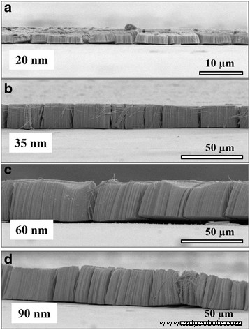 Optimized Biocompatibility of Anodic Tantalum Oxide Nanotube Arrays