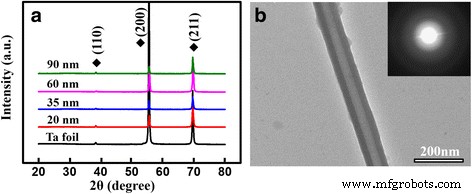 Optimized Biocompatibility of Anodic Tantalum Oxide Nanotube Arrays