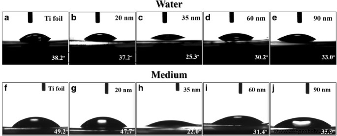 Optimized Biocompatibility of Anodic Tantalum Oxide Nanotube Arrays