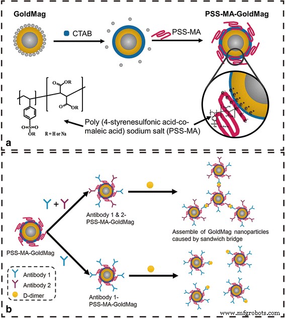 GoldMag: PSS‑MA Coating Enhances Stability & Optical Precision for Protein Detection
