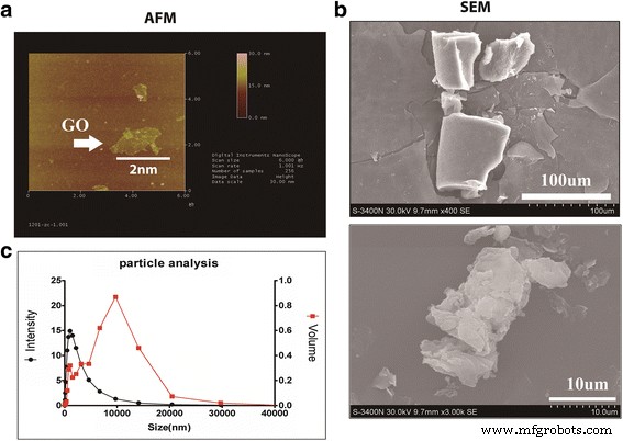 Graphene Oxide-Delivered TIMP‑1 Enhances Skin Regeneration Over 40 Days